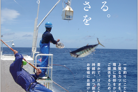 日光丸カツオセット(B1カツオ藁焼き2ブロック・B1カツオ赤身（刺身用）2ブロック・シーステーキ250g＆ソース)