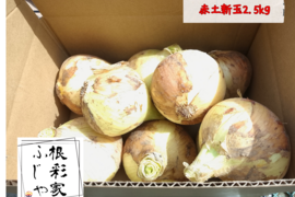 【農薬・化学肥料不使用】トロあま！極早生の赤土新玉ねぎM〜Lサイズ2.5kg