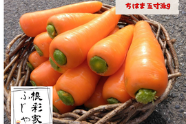 爽やかな香りと最高の甘み！冬人参【ちはま五寸】3kg