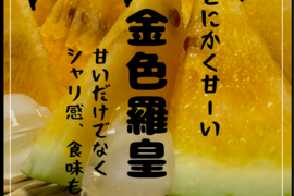 【雅】糖度13-17以上【金色羅皇】『大里果樹園のスイカ』2Ｌ-3Ｌ