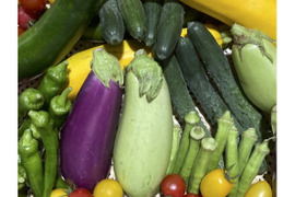★こだわり満載★　夏野菜詰め合わせ（5~7品目）