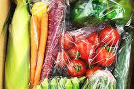【定期便7月～12月】旬の野菜詰め合わせ(約８種)　朝採り　新鮮で味の濃い野菜たち