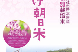 令和4年度。岡山朝日蓮華米（10kg）
20名様限定。新米予約販売