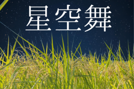 令和7年新米】鳥取県　つむぎfarm 星空舞　 白米 9kg