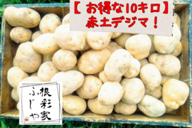 Gos　安納芋　コロコロサイズ　17キロ SALE】 さつまいも ワケあり安納芋 コロコロサイズ17キロ｜Yahoo