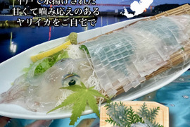 長崎県平戸産ヤリイカ刺身　300ｇ