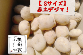 ˏ` 新規生産者のイチオシ商品 ˎ´-｜食べチョク｜産地直送(産直
