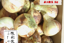 【農薬・化学肥料不使用】トロあま！極早生の赤土新玉ねぎM〜Lサイズ5kg