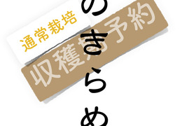 【収穫期予約限定2】粒立ちよく後ひくうまみ！生産者の少ない秋田のお米！玄米24kg