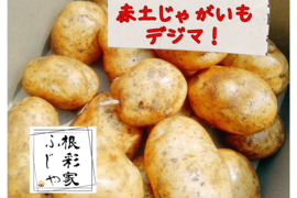 新じゃがSサイズ】農薬・化学肥料不使用！小芋コロコロ一口
