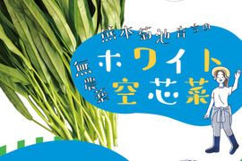 「ホワイト空心菜」で食卓に彩りを！ 【１００ｇ×５袋】