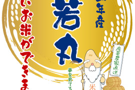 山形県産雪若丸　令和5年産2合×2セット白米　甘味のある新食感！