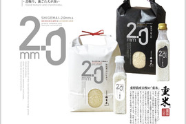 重米2.0シリーズ(新之助)無洗米300g×10