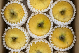 【訳あり】季節外のフレッシュりんご！！スマートフレッシュ処理・シナノゴールド約3kg