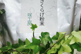 【大容量】　ビタミンD 美容　国産きくらげ粉末　キクラゲパウダー　600g