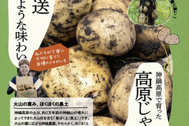 【ごろっごろ新ジャガイモ】　兵庫県但馬産新じゃが！　《きたあかり　箱入７kg》