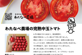 【自然栽培】大好評中玉トマト🍅✨M（1.5㎏）