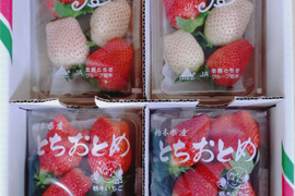 とちおとめとスカイベリー、白いちごの食べ比べセット
【いちご食べ比べ】