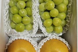 完熟シャインマスカット&和梨セット(中)