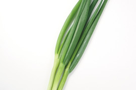 京のおねぎはん（九条ネギ）原体1kg （冷蔵）