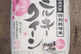 令和4年産　特別栽培米ミルキクイーン精白米20㎏（5㎏×4袋）