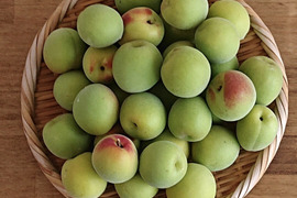 【南高梅　青梅】2Lサイズ以上 梅酒や梅ジュースにオススメ！2kg
