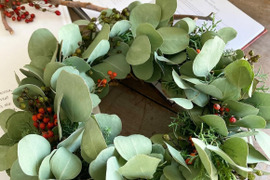 ✴︎スワッグにいかが？ユーカリ２種のボリュームセット✴︎