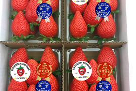 【金賞受賞】やよいひめ ４パック セット※イチゴがズレて傷がつく場合がございます。