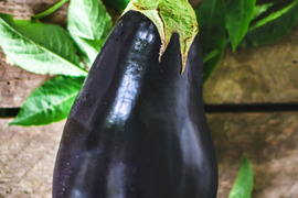ご飯がすすむ！👩‍🍳味噌・炒め物に朝採れナス🍆夏のスタミナUPジャンボにんにく🧄セット🎁