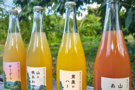 訳あり樹上完熟桃ジュース（黄美のハート）