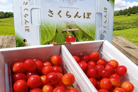 ★週末限定価格★【朝どれ】《紅秀峰》さくらんぼ 山形県東根産 1kg  Ｌ.2L バラ詰め
