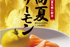 あっさりとした脂乗り！日向夏を餌に配合した「日向夏サーモン」（お刺身用）合計500g以上【冷凍便でお届け】