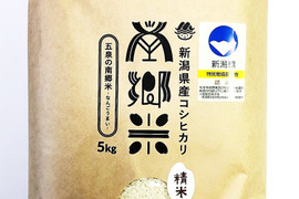 ＊特別栽培米【R4年産】''隠れたお米の名産地''新潟県五泉産コシヒカリ100%「南郷米」精米20kg