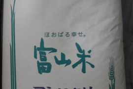 ◆玄米炊いてみませんか◆【令和5年度 玄米20kg】安清米（富山県産コシヒカリ）甘くてもっちり食感　保冷庫保管