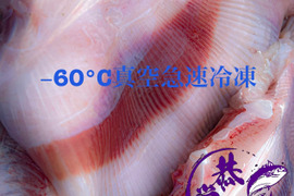 秋田県産　‼️エイヒレBOX‼️［ドブカスべ、水カスべ］−60℃真空急速冷凍
