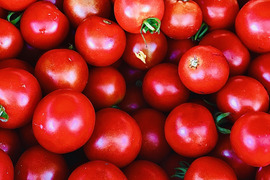 トマトの通販｜野菜｜2ページ目｜食べチョク｜産地直送(産直)お