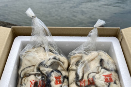 （加熱用）宮島が育んだ生牡蠣むき身（１kg入り）