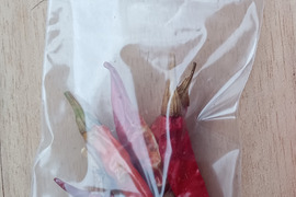 【カラッ(｡>﹏<｡)】唐辛子小分けパック🌶️🌶️🌶️❗❗30袋入り🌶️🌶️🌶️ばぁばのモノスゴイ野菜✨✨✨