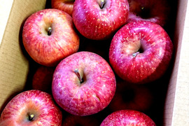 【🍎紅玉りんご・訳あり】3.5㎏(サイズミックス 17～22個)