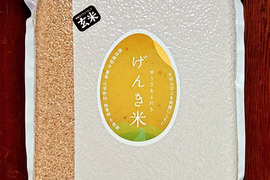 JAS認証有機栽培・富山県産コシヒカリ玄米　 4.5kg（30合）　真空パック入り！