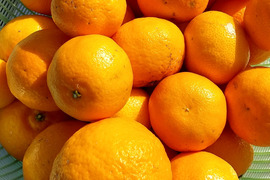 【食べチョクに初販売】クレメンテイン　家庭用2.5箱㎏