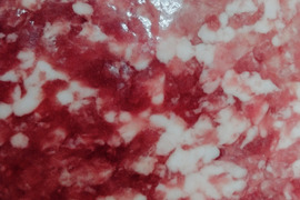 信州産はちみつで育てた銘柄豚・ひき肉（粗挽き）　300ｇ