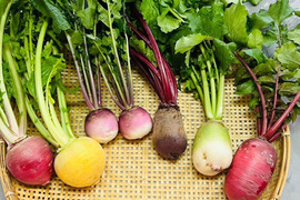 【5～7品】冬の有機野菜セット💖栄養たっぷり✨【周防大島産】