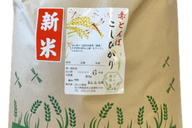 【お米・たまごセット】令和7年産 エコ栽培米 コシヒカリ 白米 5kg+美野里たまご10個入り1P