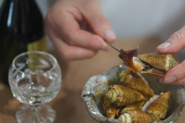 【夏ギフト】高知の高知の絶品おつまみ！海の香り感じる 味付けチャンバラ貝 煮付け 500g 醤油味付け☺️
