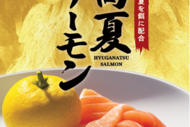 包丁まな板いらず！溶かしてそのまま食べれる【「日向夏サーモン」お刺身用スライス！】(冷凍真空パック)×3p