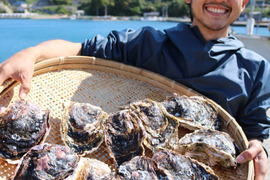 びっくり巨大岩牡蠣！【早い者勝ち】市場でまずみることは無い800gオーバーのミルクたっぷり岩牡蠣！３個入り