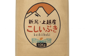 新潟県産,こしいぶき,和泉,10kg,令和7年新米,【受注後精米・農家直送】