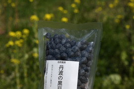 丹波産　自然栽培黒豆（250g）