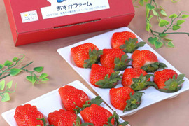 (指定日無しでお安く)やよいひめ 群馬県いちご品評会入賞 約400ｇ 2パック